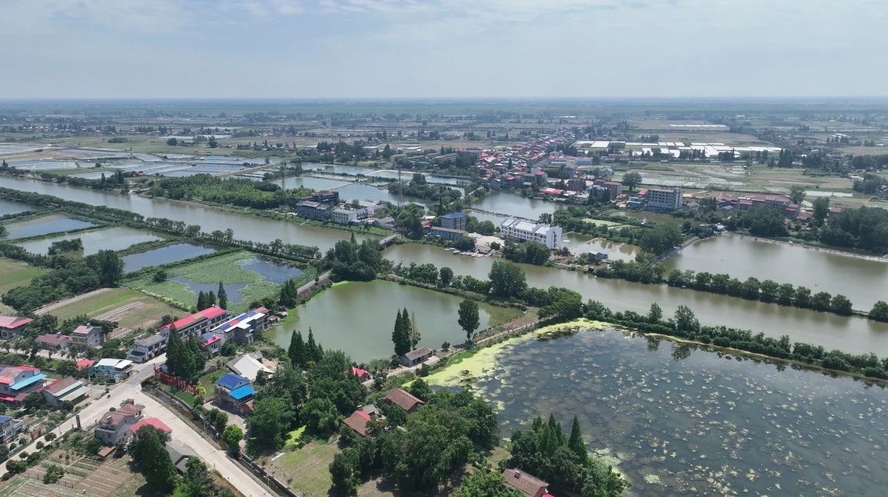 壹定发(中国游)官方网站